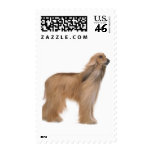 Dog Postage Stamps Medium