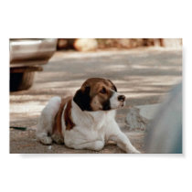 Dog posters by dbar Dog posters