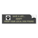 Dog Pound Bumper Sticker bumper stickers by MarDar Dog Pound Bumper Sticker bumper stickers
