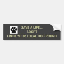 Dog Pound Bumper Sticker