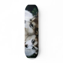 Dog Puppy Board skateboards by kkkylezzz Dog Puppy Board skateboards