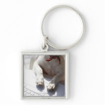 Dog putting his hands on a laptop keychain