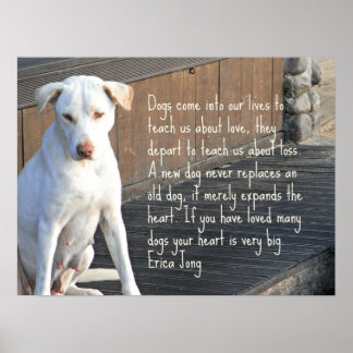Erica Jong Quotes. QuotesGram