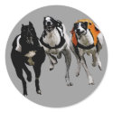 DOG RACE GREYHOUND stickers