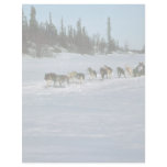 Dog racing, Yukon letterhead