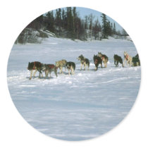 Dog racing, Yukon Round Sticker