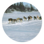 Dog racing, Yukon stickers