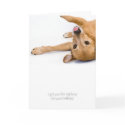 Dog Rasberry Card card