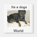 DOG REFRIGERATOR MAGNETS