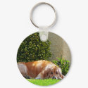 Dog Relaxing keychain