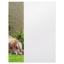 Dog Relaxing Customized Letterhead