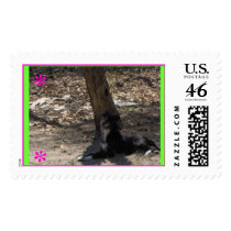 DOG RELAXING postage