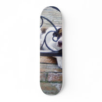 Dog Resting In Back Yard Skate Board Deck