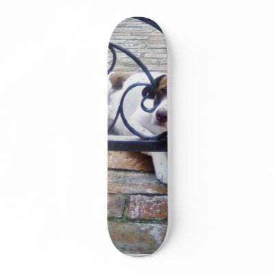 Dog Resting In Back Yard Skate Board Deck by lifesphere