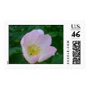 Dog Rose postage by kokobaby Dog Rose postage