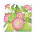 dog roses_white magnets by VioDeSign dog roses_white magnets