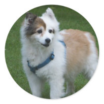 DOG ROUND STICKER