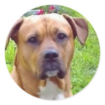 DOG ROUND STICKER