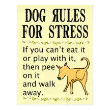 Dog Rules for Stress Post Cards