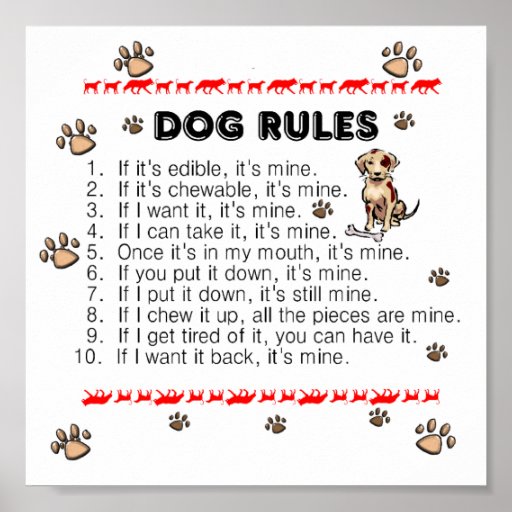 dog_rules_poster-refecb9ac11ef44688b6657