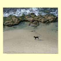 Dog running on a sandy beach posters