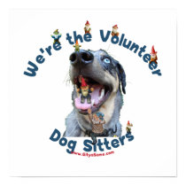 Dog Sitter Gnomes Poster