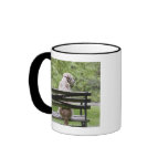 Dog sitting on park bench coffee mug