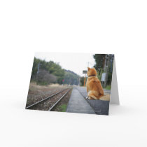 Dog sitting on train station card