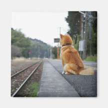 Dog sitting on train station refrigerator magnets