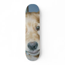 DOG SKATEBOARD