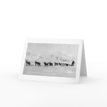 Dog Sled Champions Alaska 1910 cards