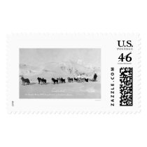 Dog Sled Champions Alaska 1910 Postage Stamp
