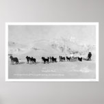 Dog Sled Champions Alaska 1910 Posters