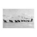 Dog Sled Champions Alaska 1910 posters by lc_alaska Dog Sled Champions Alaska 1910 posters