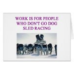 dog sled racing iditarod lover card