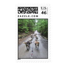Dog Sledding postage by MANDAx3 Dog Sledding postage