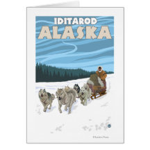 Dog Sledding Scene - Iditarod, Alaska Card
