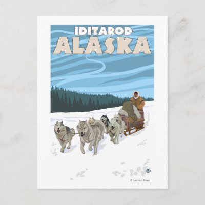 Dog Sledding Scene - Iditarod, Alaska Postcard
