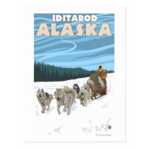 Dog Sledding Scene - Iditarod, Alaska postcards