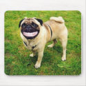 Dog smile mousepads by Crapton042 Dog smile mousepads
