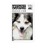 Dog Smiles Aussie Love postage