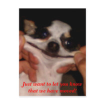 Dog Smiling postcards by sun57k Dog Smiling postcards