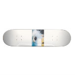 dog splashing in water skateboard