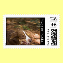Dog stamps
