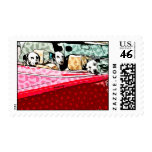 Dog Stamps - Dalmations in Red Car Postage Stamp