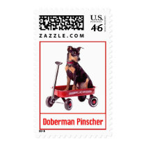 Dog Stamps - Doberman Pinscher Postage Stamp