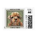 Dog Stamps - Norfolk Terrier Puppy Postage Stamp by dogart Dog Stamps - Norfolk Terrier Puppy Postage Stamp