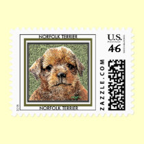 Dog Stamps -   Norfolk Terrier Puppy Postage Stamp