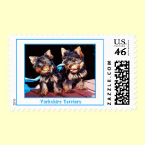 Dog Stamps - Yorkie Love Postage Stamp stamps