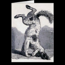 "Dog Standing on his Head" cards